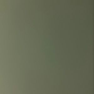 Meet your Posher, Gayle